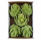 Artichoke Gift Box (5 Pack)