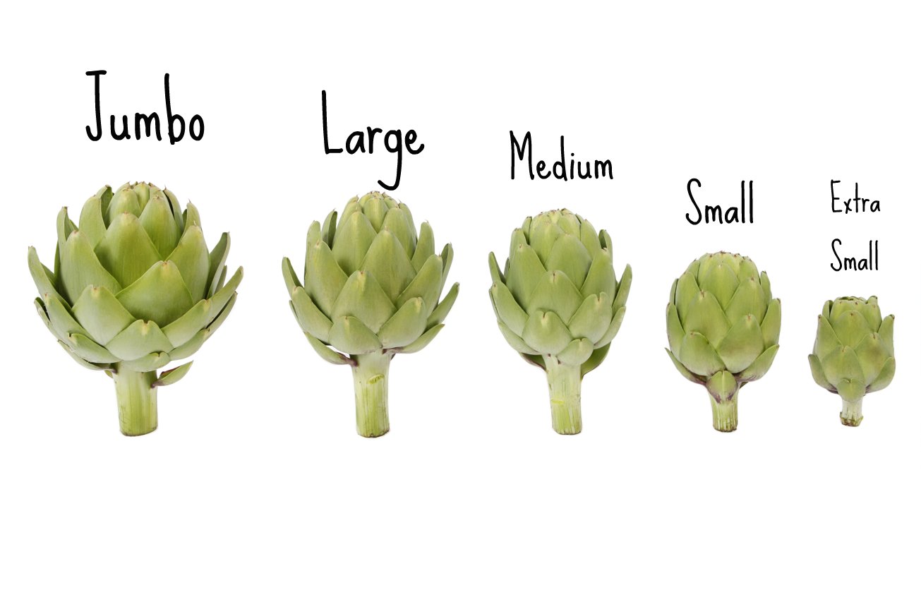 5-scale.jpg 5-scale.jpg