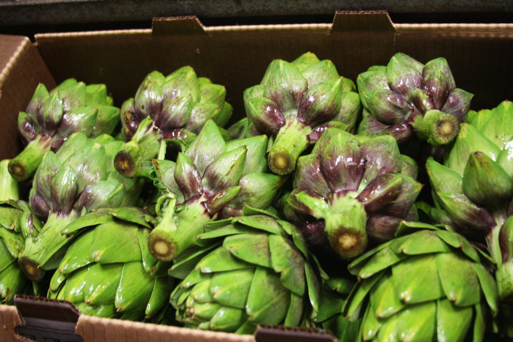 case-of-arthichokes.jpg