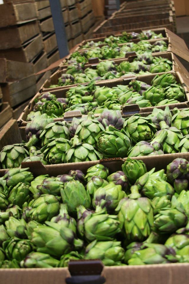 cases-of-artichokes.jpg